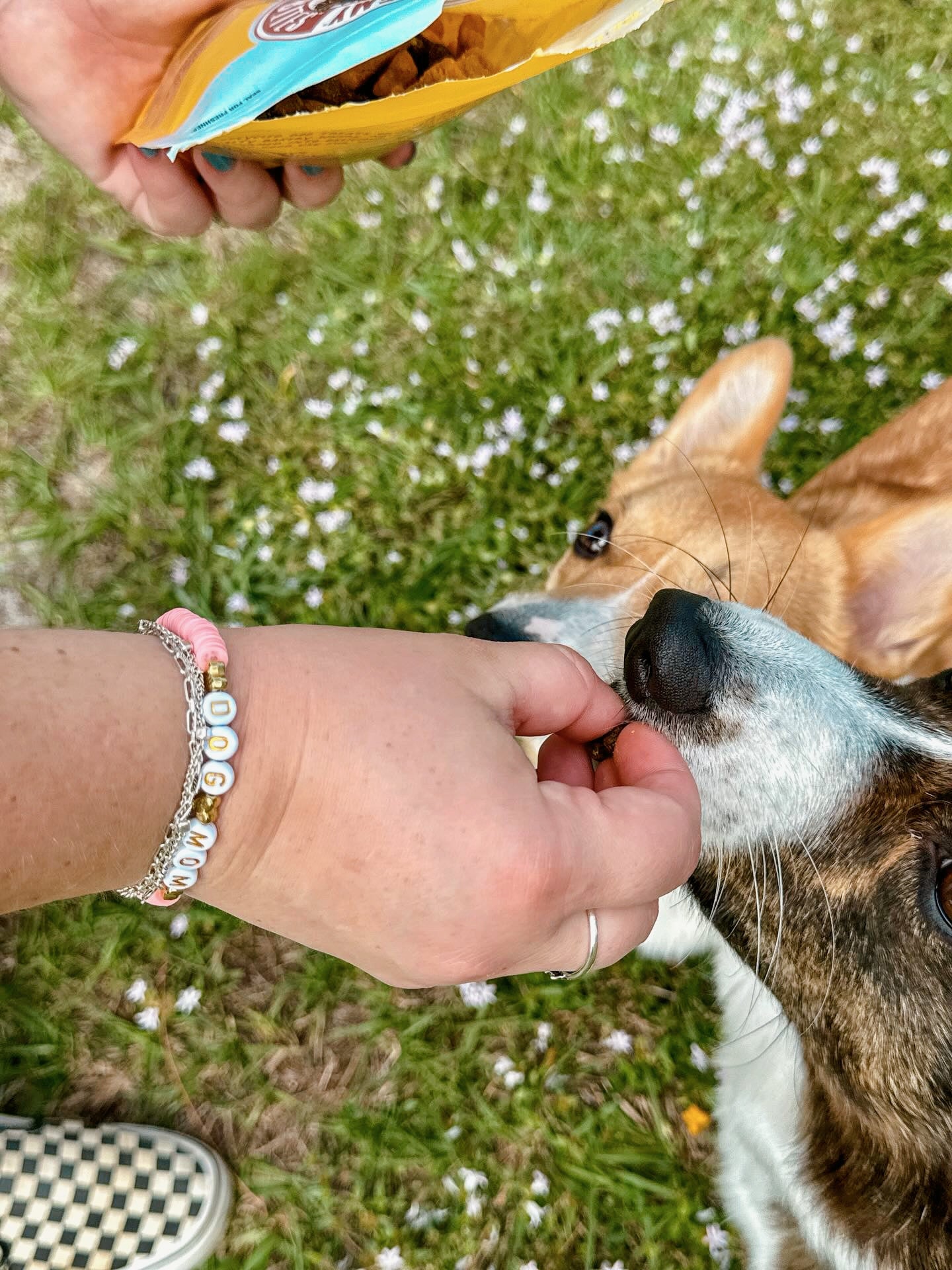 Friendship Bracelet 🩷