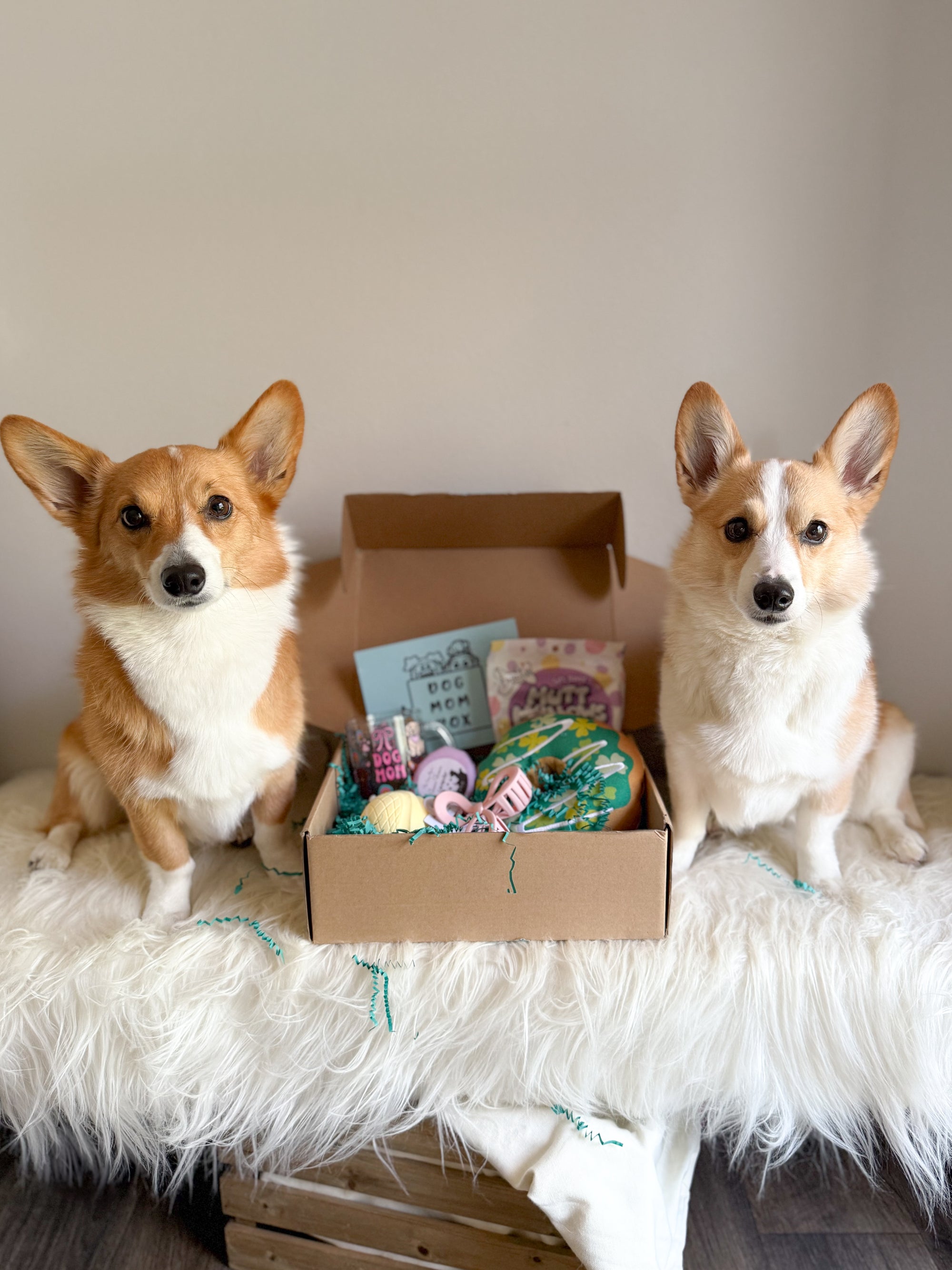 March 2025 Box