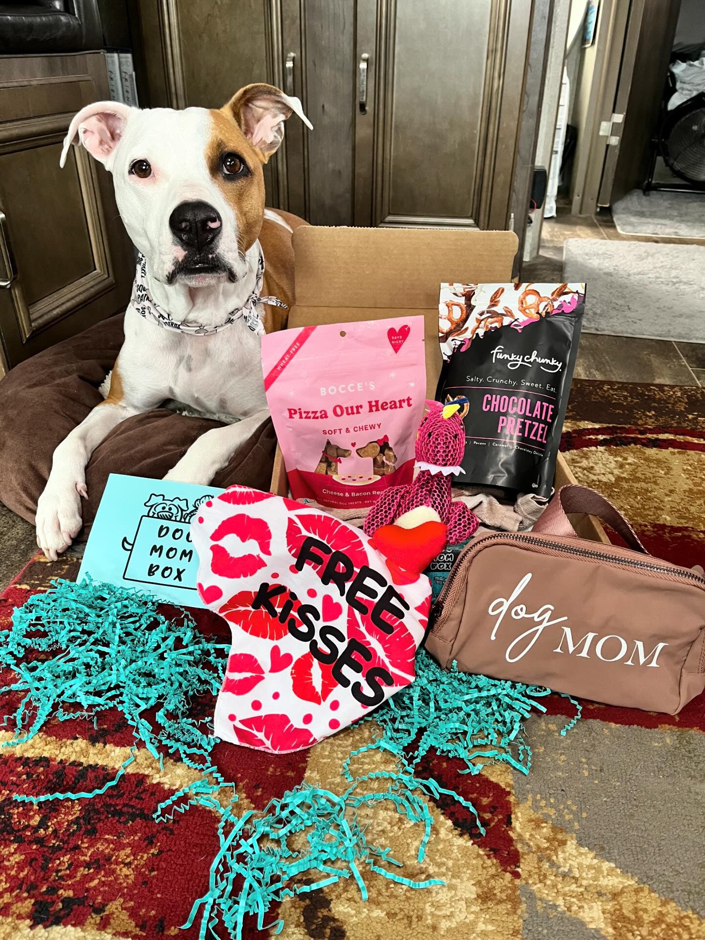 Past Boxes Dog Mom Box