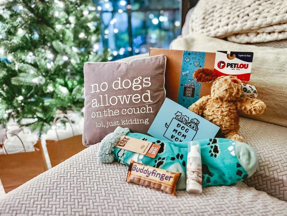 Unwrapping Joy A Guide to Christmas Dog Gift Subscription Boxes