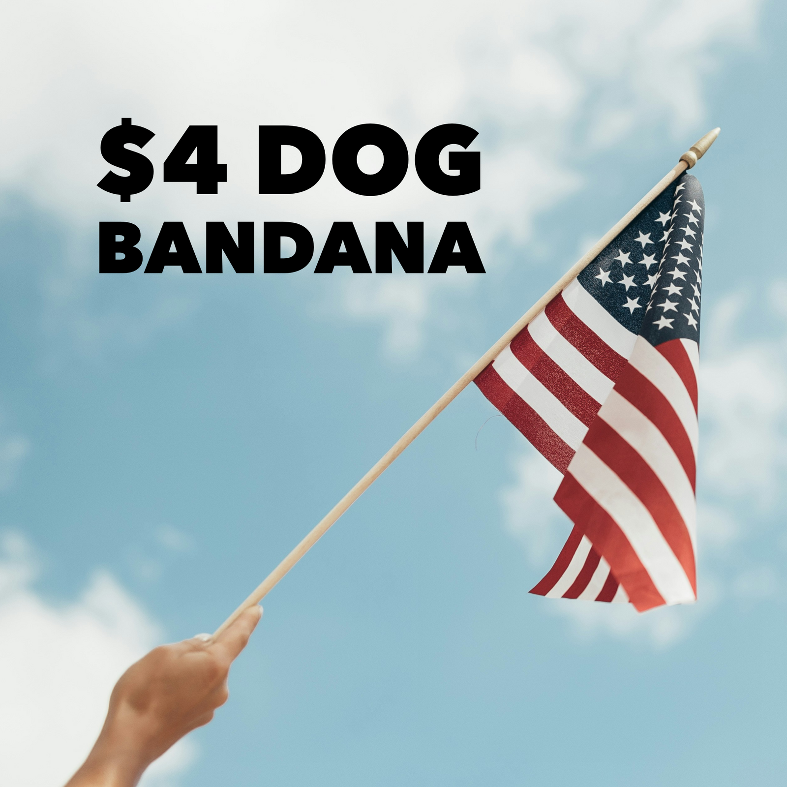 4th of July Bandana
