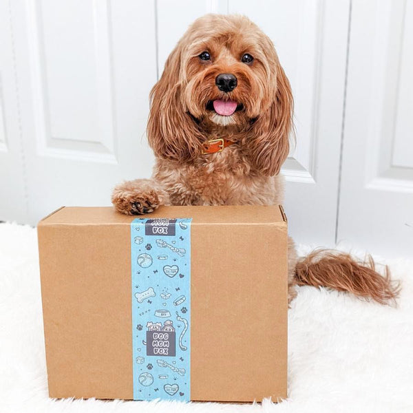 IMG-2851_600x.jpg?v=1729538697