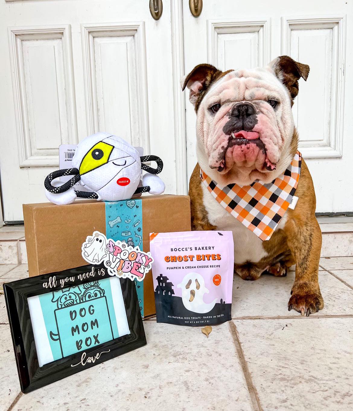 "Hey Boo" October 2022 Box