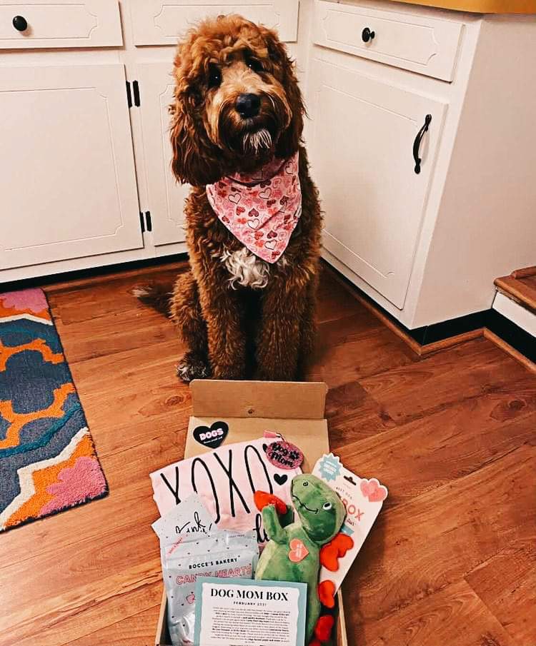 "XOXO MY DOG" February '21 Box