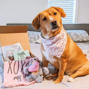 "XOXO MY DOG" February '21 Box