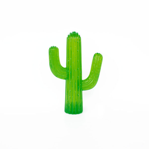 ZippyTuff Cactus Toy
