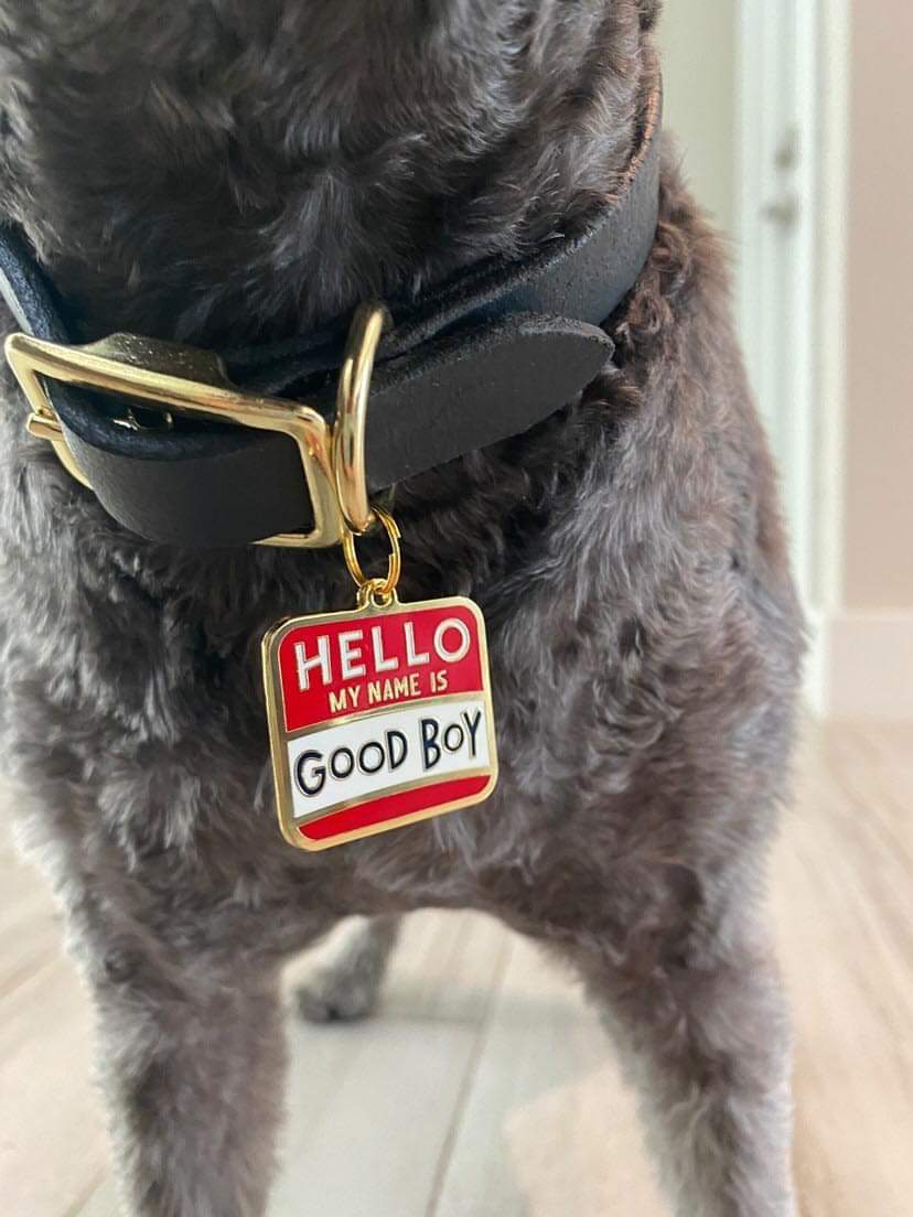 COLLAR CHARM BOY/GRIL