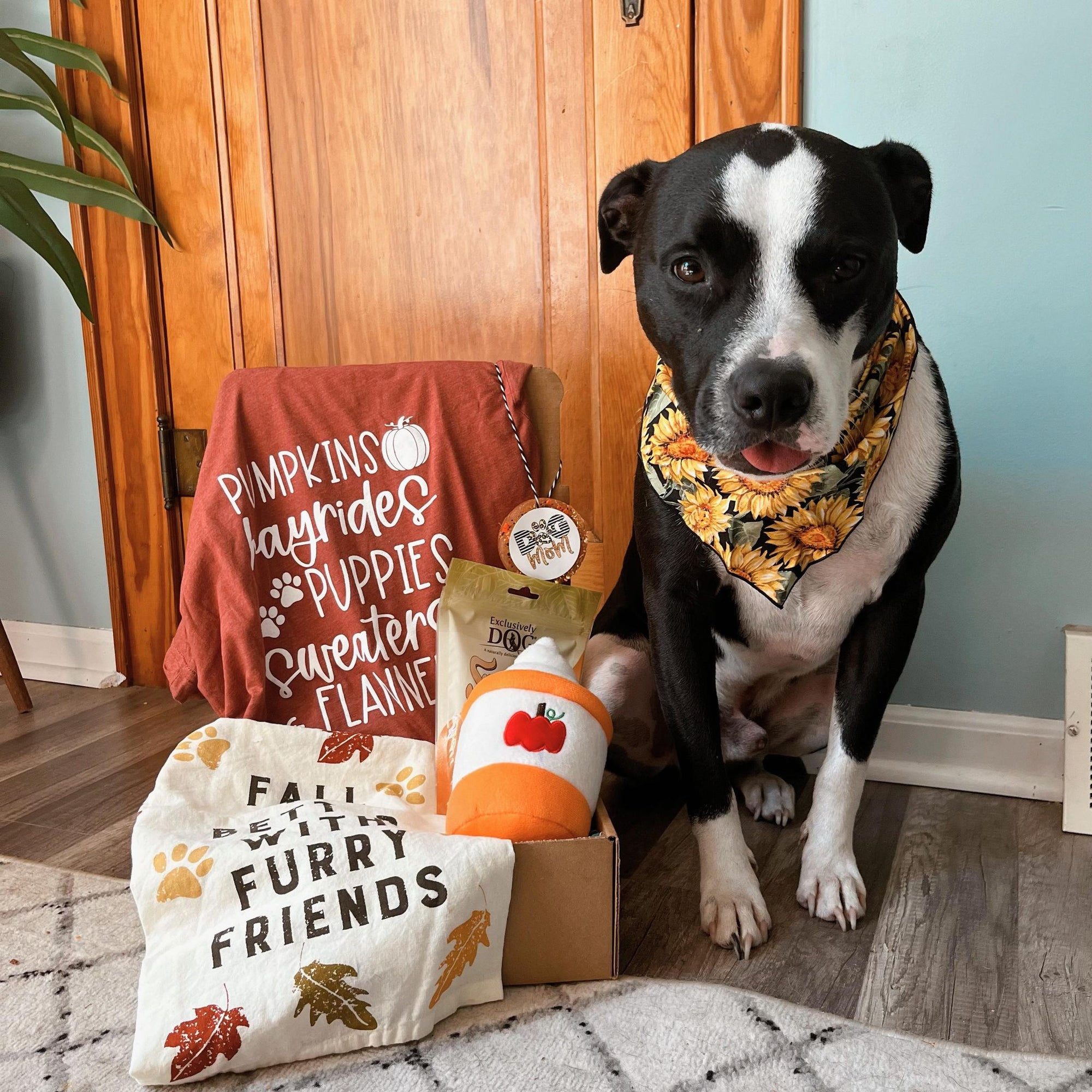 SEPTEMBER  BOX-  "IT'S FALL Y'ALL"